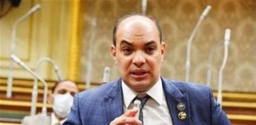 النائب علاء حمدي قريطم - عضو لجنة الصناعة بمجلس النواب