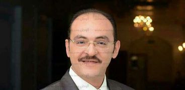 محمد عزت ، أمين صندوق غرفة شركات السياحة