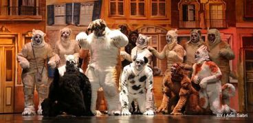 عرض dogs على مسرح الجمهورية