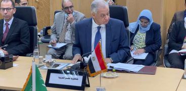 وفد مصر في المجلس التنفيذي لمنظمة التنمية الإدارية