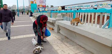 إيمان تطعم القطط رغم أمطار الإسكندرية