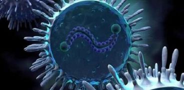 الفيروس المخلوي- تعبيرية