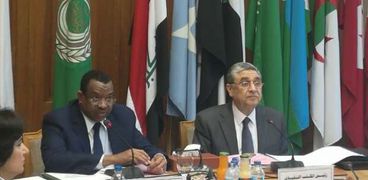«شاكر» خلال اجتماع الدورة الـ12 لاجتماعات المجلس الوزارى العربى للكهرباء