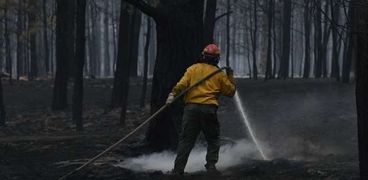 مشهد من إطفاء حرائق الغابات