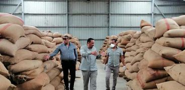 التموين : استلام مليون طن من محصول القمح المحلي