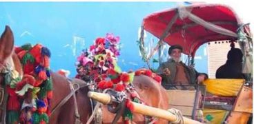 عربة تجرها الخيول في كابول