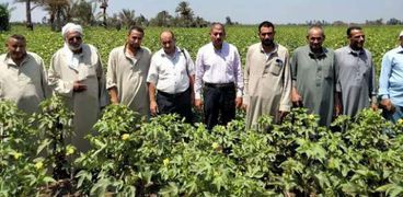 زراعة الشرقية تُنظم ندوة إرشادية حول زراعة القطن لمزارعي قرية كراديس