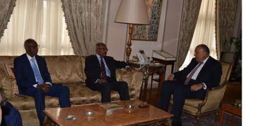 وزير الخارجية يبحث مشروعات التعاون المشترك والقضايا الإقليمية مع نظيره الإريتري والمستشار السياسي للرئيس أفورقي