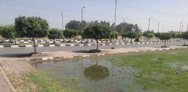 غمر الحدائق بالمياه في الإسماعيلية لمنع تجمع المواطنين