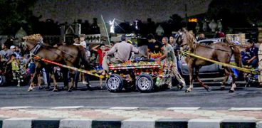 سباق للخيول فى مصر القديمة- تصوير سعيد حمدى