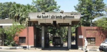 مستشفى حميات إمبابة