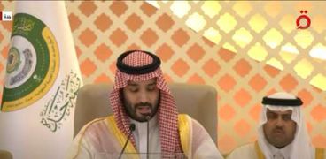 الأمير محمد بن سلمان ولي العهد السعودي