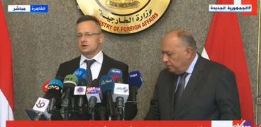 وزير الخارجية المجري والمصري