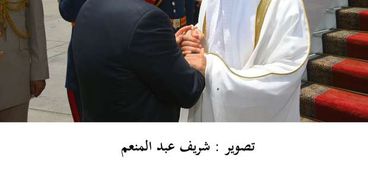 الرئيس عبدالفتاح السيسى خلال استقباله الشيخ محمد بن زايد آل نهيان