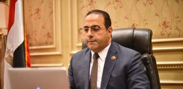 الدكتور محمود حسين رئيس اتحاد شباب المصريين بالخارج