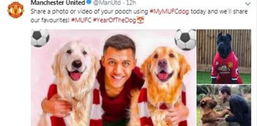 نادي "مانشستر يونايتيد" الإنجليزي مع شجعيه يحتفل بعام الكلب