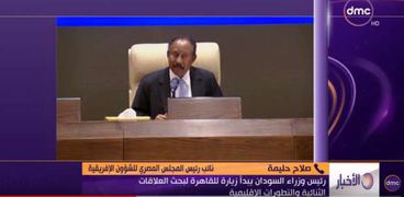 صلاح حليمة نائب رئيس المجلس المصري للشئون الإفريقية