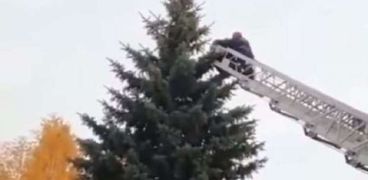 إنقاذ طالب أجنبي علق على قمة شجرة في روسيا