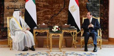 جانب من لقاء الرئيس السيسى  وولى عهد أبو ظبى