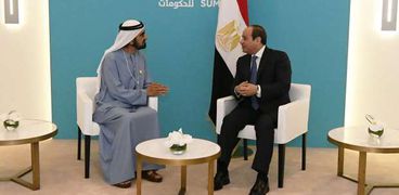 الرئيس عبدالفتاح السيسي والرئيس الإماراتي محمد بن زايد آل نهيان