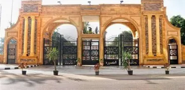 جامعة المنصورة