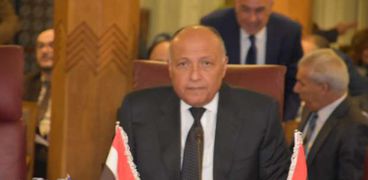 وزير الخارجية يؤكد على موقف مصر الثابت في دعم مساعي إقامة الدولة الفلسطينية