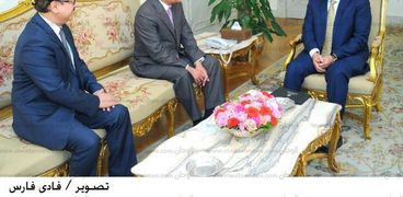 الرئيس عبد الفتاح السيسى يلتقى سكرتير عام الاتحاد الدولى للاتصالات