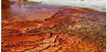 العلماء يكتشفون أقدم دليل على وجود حياة على الأرض في جنوب أفريقيا