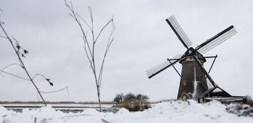 الهولنديون يستمتعون بالحياة: الشرطة والشعب أيد واحدة في كرات الثلج