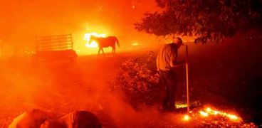 مزارع يحاول إنقاذ منزله من حريق كاليفورنيا
