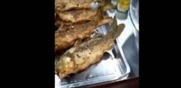 سمكة مقلية