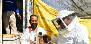 إنتاج عسل النحل في قنا