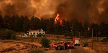 حرائق الغابات في اليونان- تعبيرية