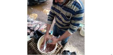 محمد محمد رياض.. بائع سمك