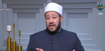 الدكتور محمد عبد السميع- أمين الفتوى بدار الإفتاء