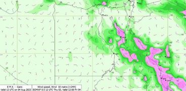 الأرصاد: حالة طقس الأيام المقبلة...شبورة ورياح وارتفاع نسب الرطوبة