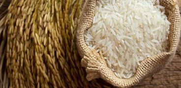 أسعار الأرز اليوم في السوق المصرية