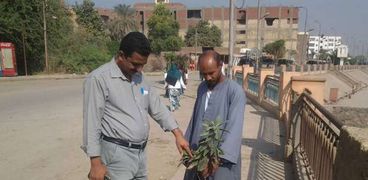 غرس 150 شجرة على كورنيش النيل في إدفو