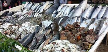 أسعار السمك اليوم في مصر