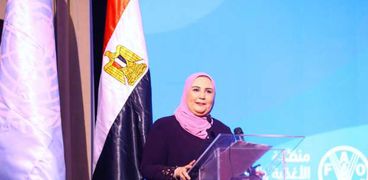 الدكتورة نيفين القباج - وزيرة التضامن الإجتماعى