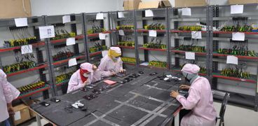 مصنع عالمي يبدأ تجميع هواتف المحمول في مصر