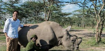 رحيل "سودان" أخر وحيد القرن الشمالي الأبيض