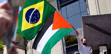 علم فلسطين والبرازيل