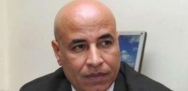 نائب رئيس اتحاد المصريين بالسعودية