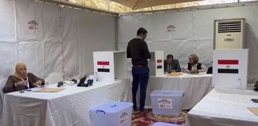 الانتخابات المصرية في الرياض