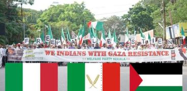 جانب من مسيرة الهند لدعم فلسطين
