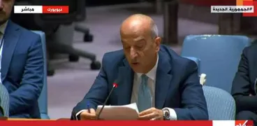 مندوب مصر في مجلس الأمن