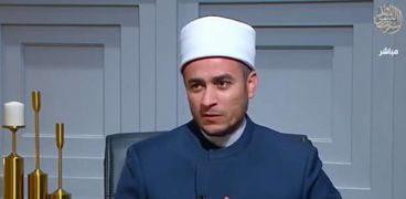 الدكتور محمود شلبي- أمين الفتوى بدار الإفتاء
