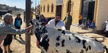 حملة بيطرية (أرشيفية)