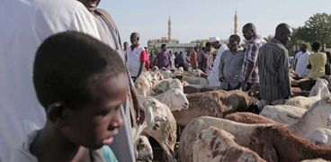 أحد أسواق بيع الأضاحي في السودان